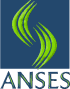 anses